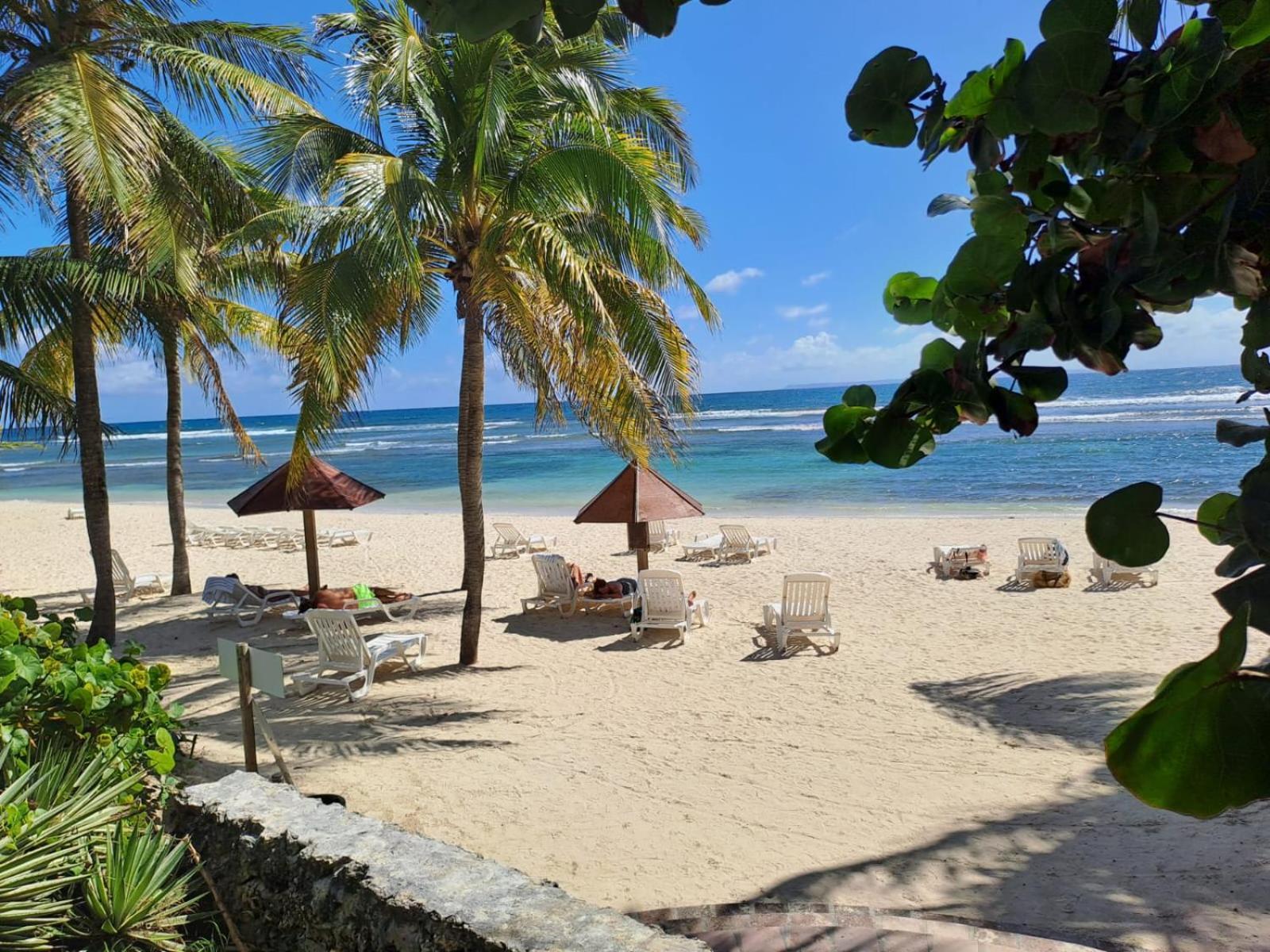 Grand Studio Vue Mer Exceptionnelle, Piscines, Plages. ساينت آن المظهر الخارجي الصورة